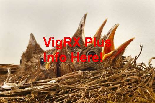 VigRX Plus Price In Usa