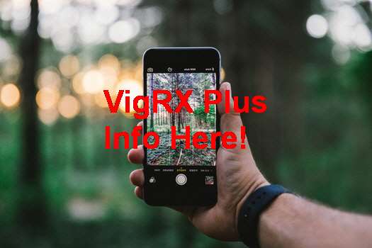 VigRX Plus Facts