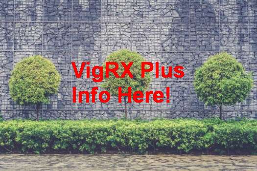 VigRX Plus Pills Wiki