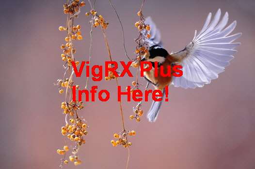 Comprar VigRX Plus Las Tiendas