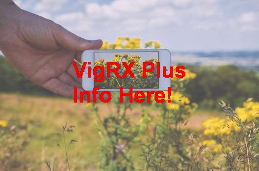 Does VigRX Plus Really Work Yahoo