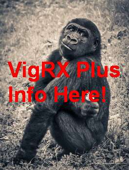 VigRX Plus In Italia