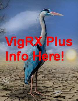 VigRX Plus Norge