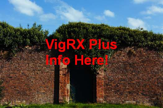 VigRX Plus Supplier In India