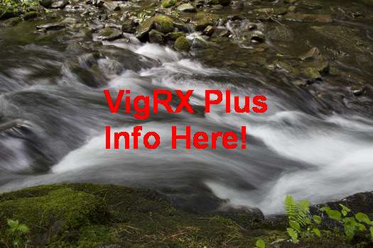 VigRX Plus For Premature Ejaculation