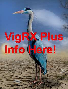 Where To Buy VigRX Plus In Tunisia