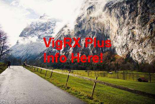 VigRX Plus Really Works