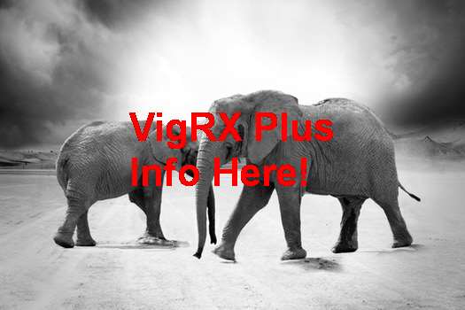 VigRX Plus Asia