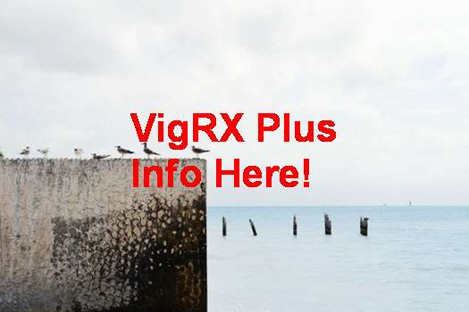 VigRX Plus Lt